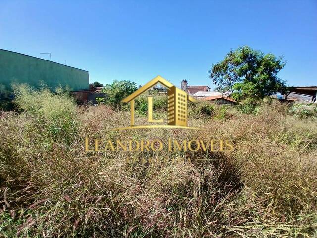 #257 - Área para Venda em Aparecida de Goiânia - GO - 2