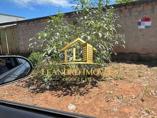 #293 - Terreno para Venda em Aparecida de Goiânia - GO - 1