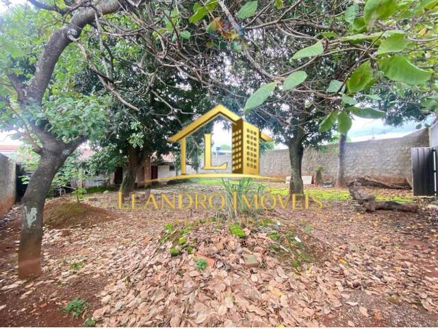 #304 - Terreno para Venda em Aparecida de Goiânia - GO - 1