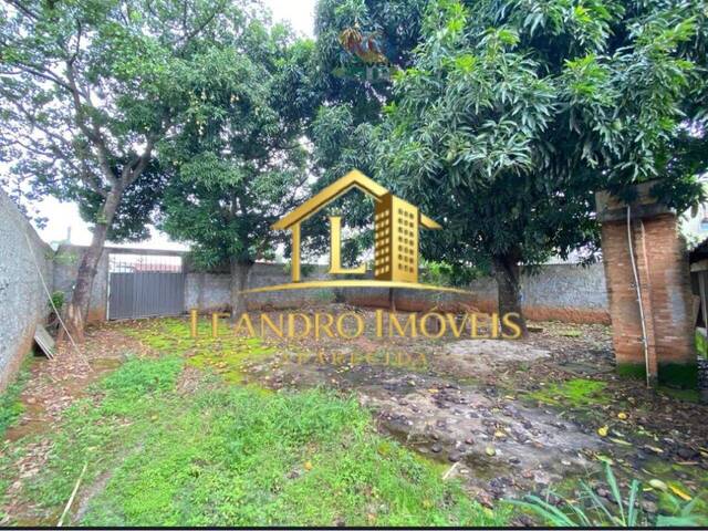 #304 - Terreno para Venda em Aparecida de Goiânia - GO - 2