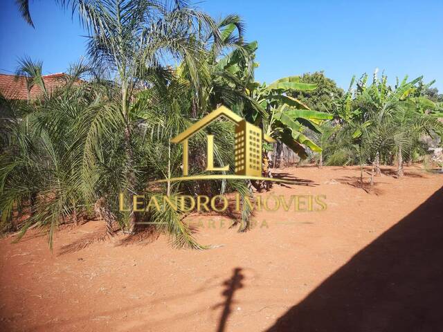 #374 - Terreno para Venda em Aparecida de Goiânia - GO - 1