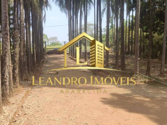 #377 - Chácara para Venda em Aparecida de Goiânia - GO - 3